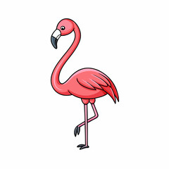 pink flamingo isolated on white