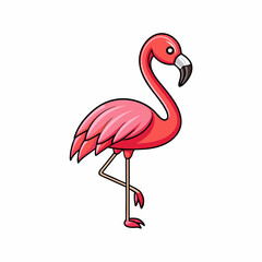 pink flamingo isolated on white