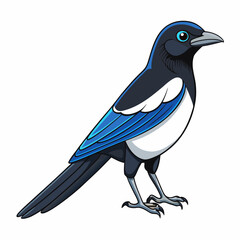 magpie bird on a branch