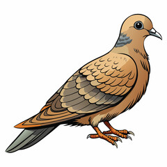 cartoon dove isolated on white