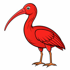 vector illustration of a scarlet ibis