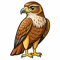 hawk cartoon isolated on white