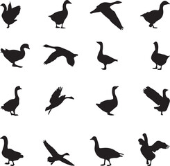 set of silhouettes of bird vector art background 