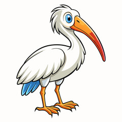 ibis on white background