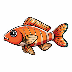 vector illustration of anthias fish