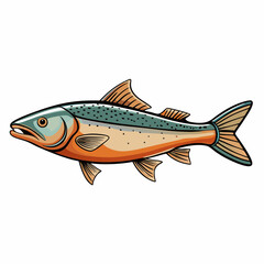 vector illustration of an arctic char fish