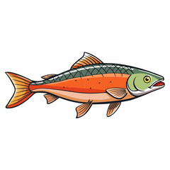 vector illustration of an arctic char fish