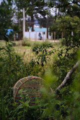 Bird cage 