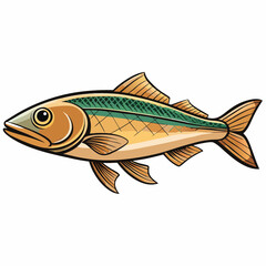 haddock fish on a white background