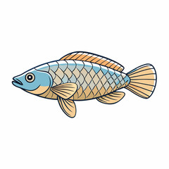 vector illustration of a pearl gourami fish