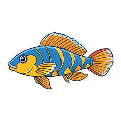 vector illustration of a royal gramma fish