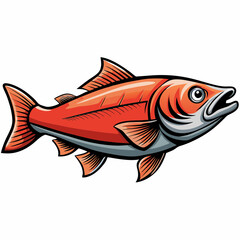 salmon fish on a white background