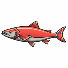 salmon fish on white background