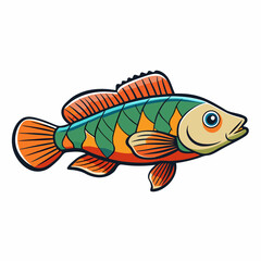 vector illustration of african cichlid fish