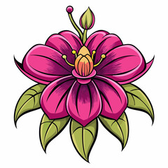 fuchsia flower isolated on white background