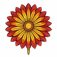 gaillardia flower isolated on white background