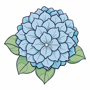 blue hydrangea flower with green leaves clip art preview