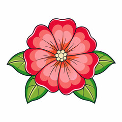 impatiens flower isolated on white