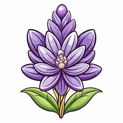 lavender flower isolated