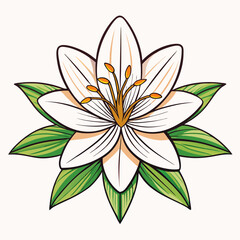 vector illustration of a lily flower
