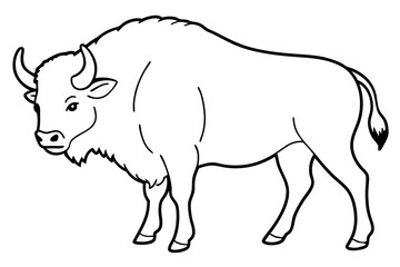 buffalo line art silhouette vector illustration