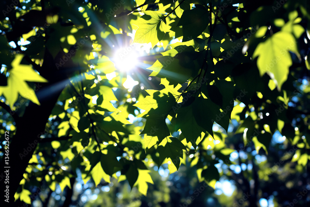 Poster sunlight streams through lush green leaves, creating a vibrant and dappled light effect. a natural a