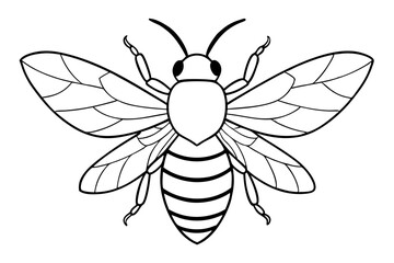 carpenter bee line art silhouette vector illustration