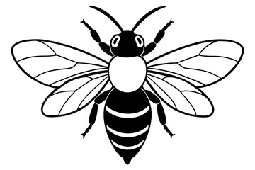 carpenter bee line art silhouette vector illustration