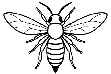 carpenter bee line art silhouette vector illustration