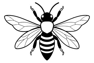 carpenter bee line art silhouette vector illustration