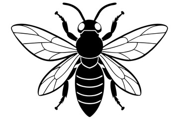 carpenter bee line art silhouette vector illustration