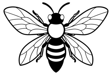 carpenter bee line art silhouette vector illustration