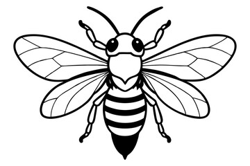 carpenter bee line art silhouette vector illustration