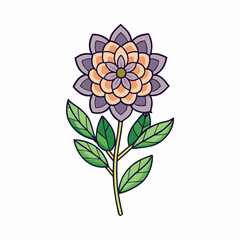 vector illustration of a statice flower