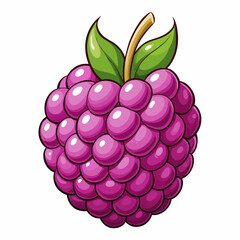 vector illustration of a boysenberry