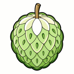 vector illustration of a cherimoya
