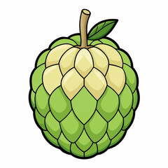 vector illustration of a custard apple