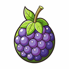 vector illustration of a jabuticaba