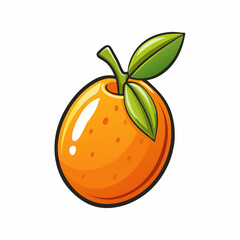 kumquat fruit vector illustration