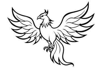 fenix bird line art silhouette vector illustration