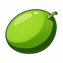 lime isolated on white