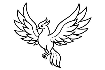 fenix bird line art silhouette vector illustration