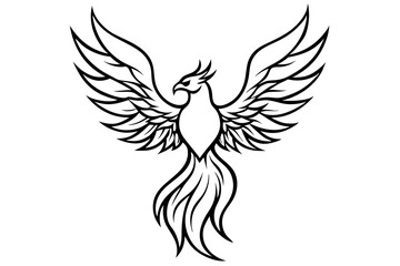 fenix bird line art silhouette vector illustration