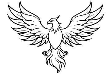 fenix bird line art silhouette vector illustration