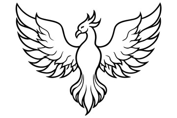 fenix bird line art silhouette vector illustration