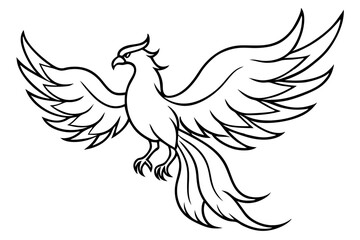fenix bird line art silhouette vector illustration