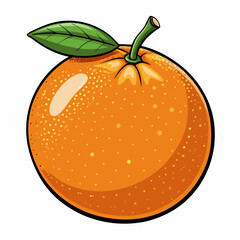 vector illustration of an orange fruit