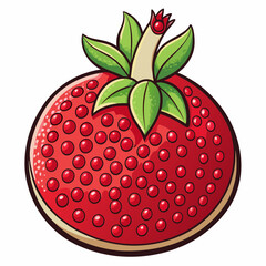 Obraz premium vector illustration of a pomegranate