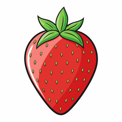 strawberry vector illustration