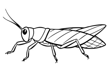 grasshopper line art silhouette vector illustration